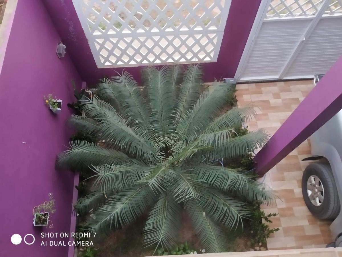 Aconchego Holiday home Maragogi